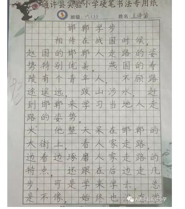 通许县实验小学"4-6年级书法之星"都有谁,快为他们点赞吧!